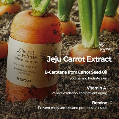 Skinfood: CARROT CAROTENE DAILY MASK