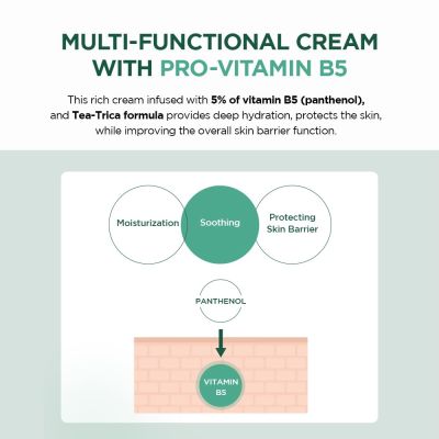 SKIN1004: Centella Tea-Trica B5 Cream 75ml