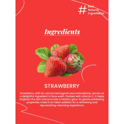 VITMINVEDA: Natural Strawberry Face Wash 100ml