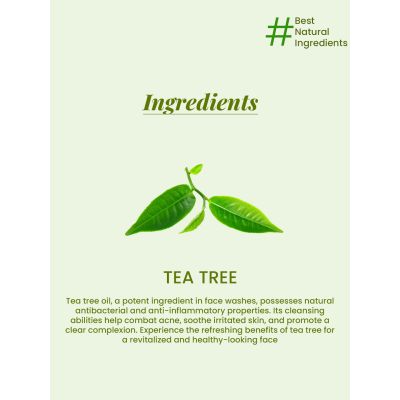 VITMINVEDA: Natural Tea Tree Face Wash 100ml
