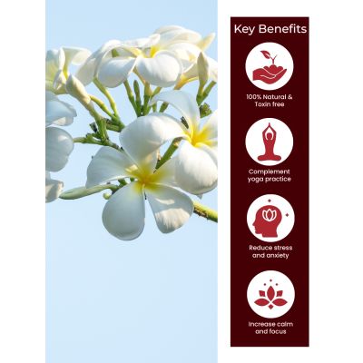 VITMINVEDA: Nagchampa Bambooless Incense Stick 100gm