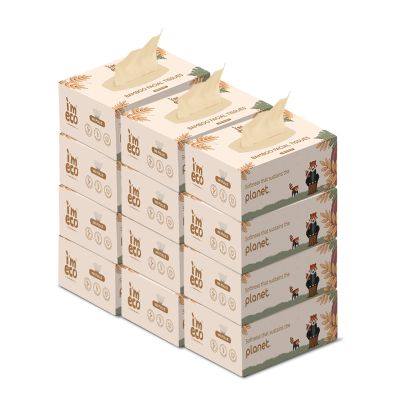 IMECO: Bamboo Facial Tissue | Soft & Highly Absorbent | 2-Ply | 100 Pulls Per Pack | Pack of 12