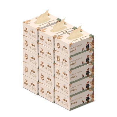 IMECO: Bamboo Facial Tissue | Soft & Highly Absorbent | 2-Ply | 100 Pulls Per Pack | Pack of 15