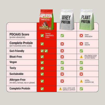 SuperYou: Pro Fermented Yeast Protein | 24g Protein| Chocolate | Peak Absorption | Superior Muscle Recovery | Gut Friendly + 1Bn CFU Probiotics | PDCAAS of 1 - 1kg