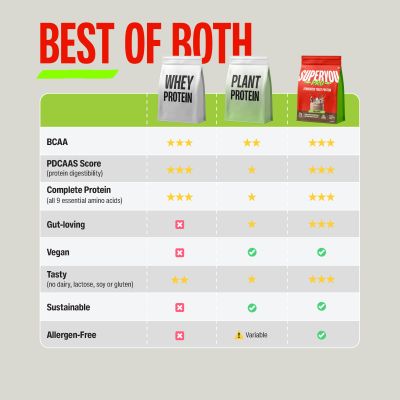 SuperYou: Pro Fermented Yeast Protein | 24g Protein| Coffee | Peak Absorption | Superior Muscle Recovery | Gut Friendly + 1Bn CFU Probiotics | PDCAAS of 1 - 1kg