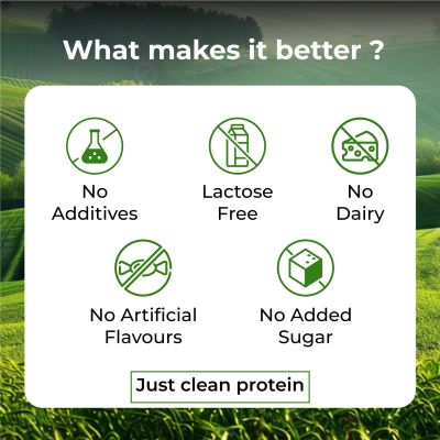 Vlado's Himalayan Organics: Organic protein Powder I Plant protein I 28gm Protein , 5gm BCAA - Unflavoured - 500gm