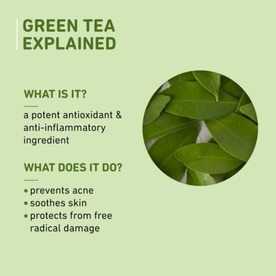 Plum: Green Tea Renewed Clarity Night Gel - Mini  15ml