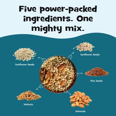 Nourish You: Protein Boost 6 in 1 Trail & Nuts Super Seed Mix 300gm Jar