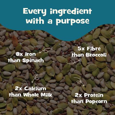 Nourish You: Protein Boost 6 in 1 Trail & Nuts Super Seed Mix 300gm Jar