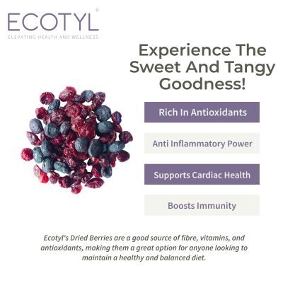 Ecotyl: Blueberres & Dried Cranberries Combo | Healthy Snacks | Dried Fruits | 150gm Each