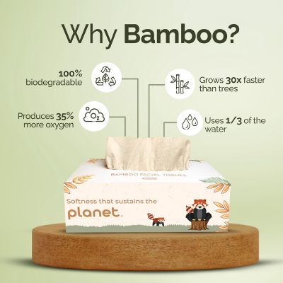 IMECO: Bamboo Facial Tissue | Soft & Highly Absorbent | 2-Ply | 100 Pulls Per Pack | Pack of 10