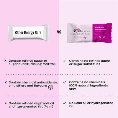 The Whole Truth: Vegan Energy Bars - Cocoa Cranberry Fudge - Pack of 6 (6 x 40g) - Dairy Free - No Added Sugar - All Natural