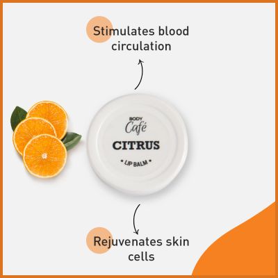 Bodycafe: Citrus Lip Balm - 10gm