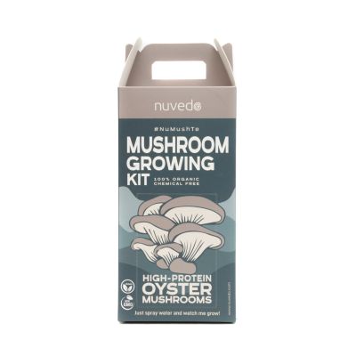 House of Makeup: Nail Lacquer - Russian Roulette - 12ml