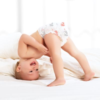 Allter : Allter Diaper (Medium)