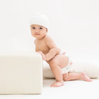 Allter : Allter Diaper (XL)