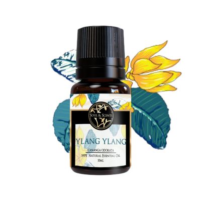 Soul & Scents: Ylang Ylang Essential Oil 10ml