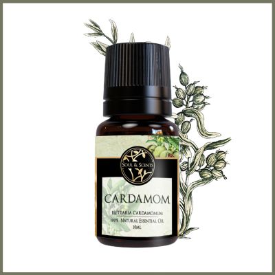 Soul & Scents: Cardamom Essential Oil 10ml
