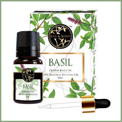 Soul & Scents: Basil Essential Oil 10ml