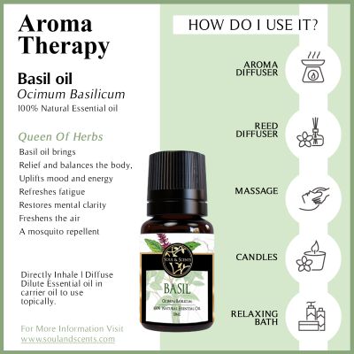 Soul & Scents: Basil Essential Oil 10ml
