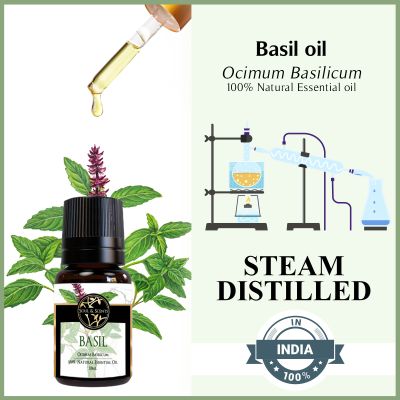 Soul & Scents: Basil Essential Oil 10ml