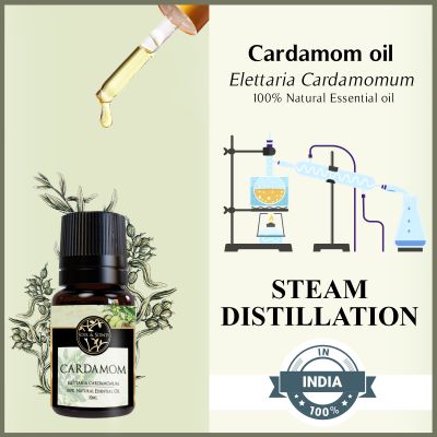 Soul & Scents: Cardamom Essential Oil 10ml