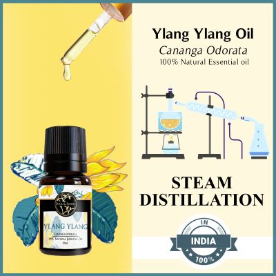 Soul & Scents: Ylang Ylang Essential Oil 10ml