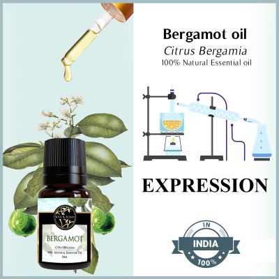 Soul & Scents: Bergamot Essential Oil 10ml