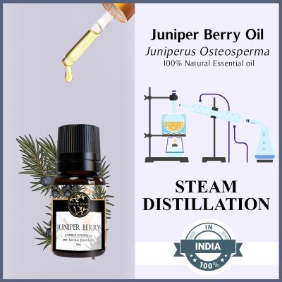 Soul & Scents: Juniper Berry Essential Oil 10ml