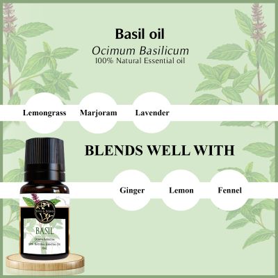 Soul & Scents: Basil Essential Oil 10ml