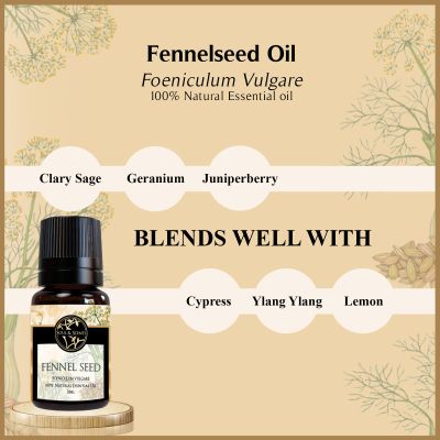 Soul & Scents: Fennel Seed Essential Oil 10ml
