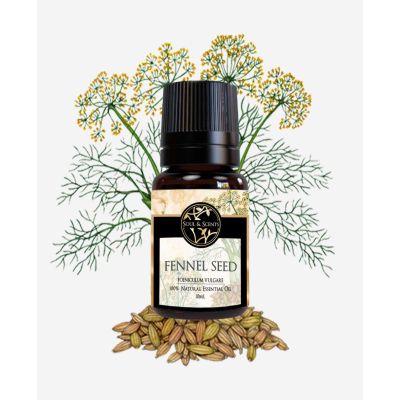 Soul & Scents: Fennel Seed Essential Oil 10ml