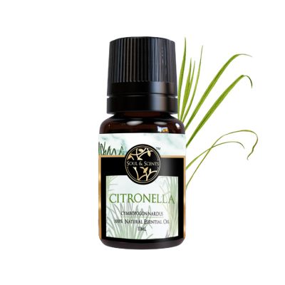 Soul & Scents: Citronella Essential Oil 10ml