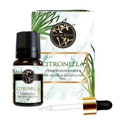 Soul & Scents: Citronella Essential Oil 10ml