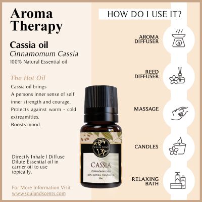 Soul & Scents: Cassia Essential Oil 10ml
