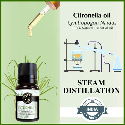 Soul & Scents: Citronella Essential Oil 10ml