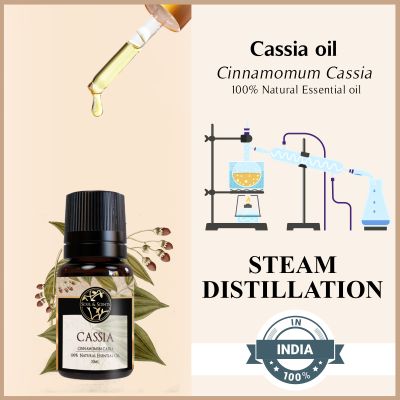 Soul & Scents: Cassia Essential Oil 10ml