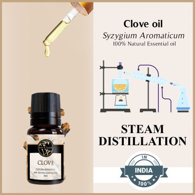 Soul & Scents: Clove Essential Oil 10ml