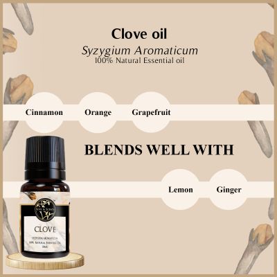 Soul & Scents: Clove Essential Oil 10ml