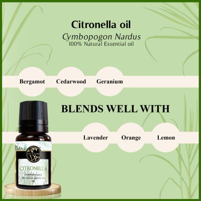 Soul & Scents: Citronella Essential Oil 10ml