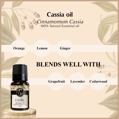 Soul & Scents: Cassia Essential Oil 10ml