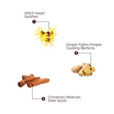The Skin Story: Ginger & Cinnamon Facewash - Pimple Control - 100 ml