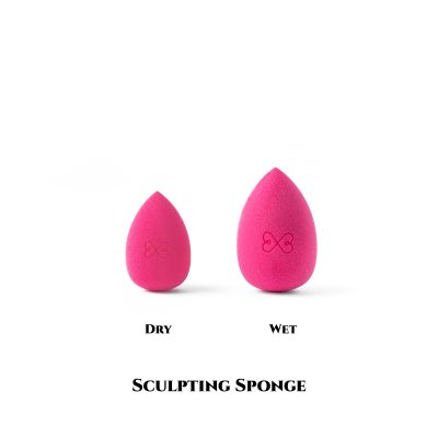 Boujee Beauty: 1xSmall Sponge + 1XLarge Sponge (Pink), S01P