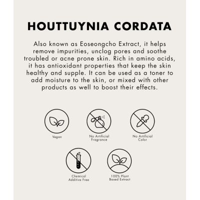 One Thing: Houttuynia Cordata Extract - 150ml