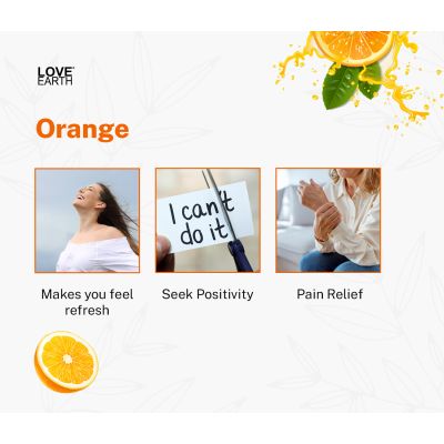 Love Earth: Reed Diffuser (Orange) - 30ml