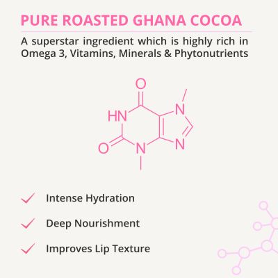 ALANNA: Chocolate Lip Balm - 8 gm