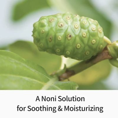 Celimax: The Real Noni Energy Repair Cream - 50ml