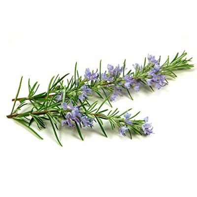 WishCare: Pure Rosemary Essential Oil - 15ml