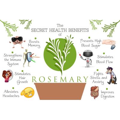 WishCare: Pure Rosemary Essential Oil - 15ml