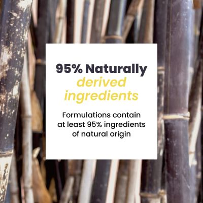 Haruharu Wonder: Black Bamboo Mist - 150ml